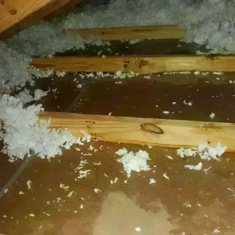 Attic Water Damage in Ashland, WI