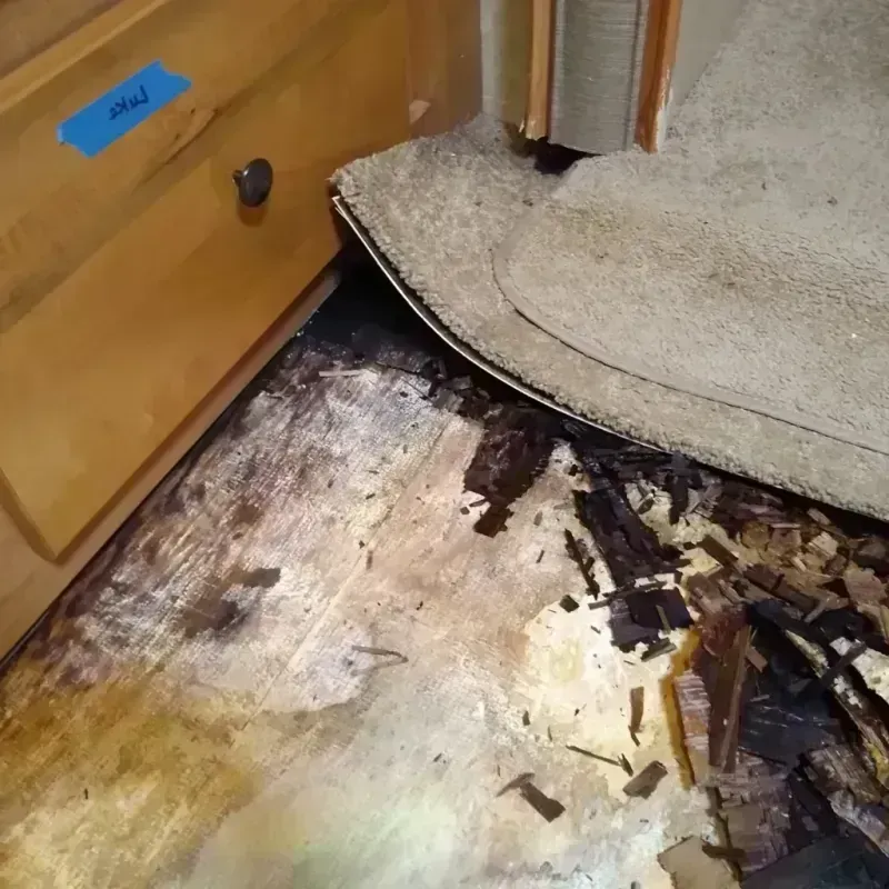 Wood Floor Water Damage in Ashland, WI